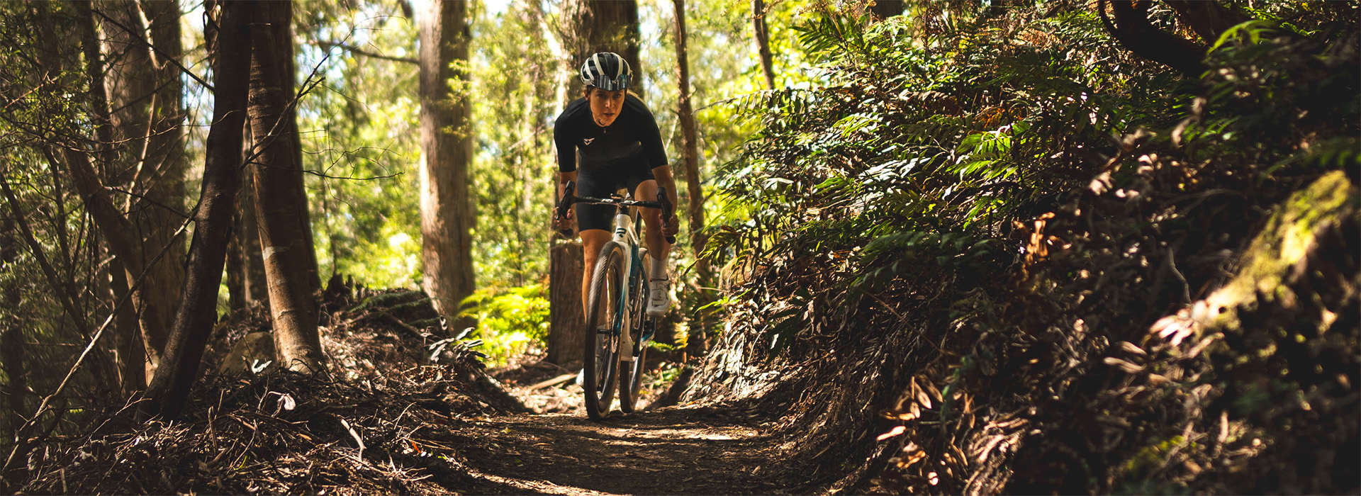 RIDLEY｜リドレー