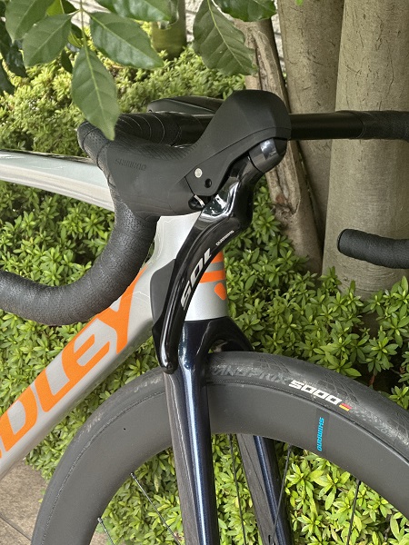 RIDLEY 