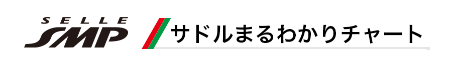 SMPサドルまるわかりチャート