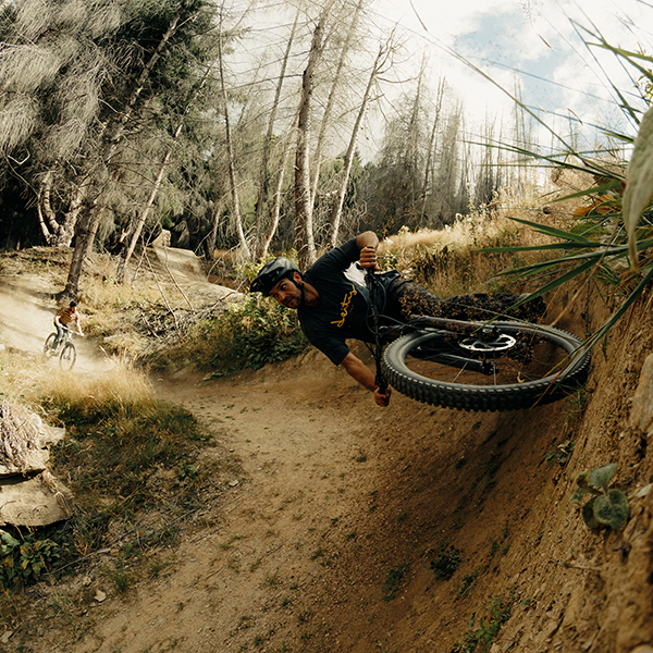 DEITY（ディエティー）