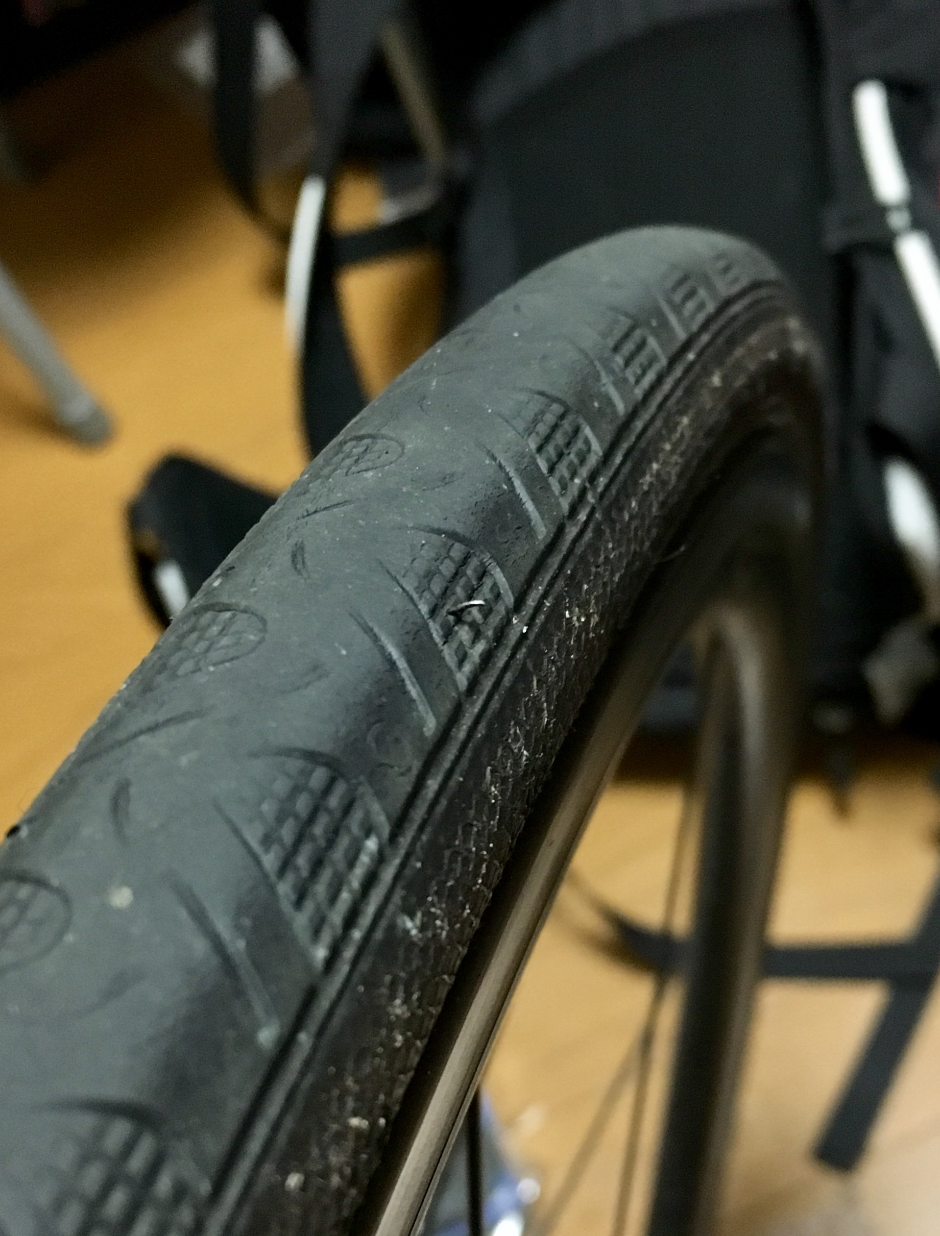 Continental】グランプリ 4シーズン インプレッション Continental】グランプリ 4シーズン インプレッション