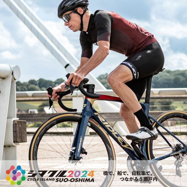 夏目ロマクル Switch「Romancing Cruise」あんさんぶるスターズ！！ ESアイドル