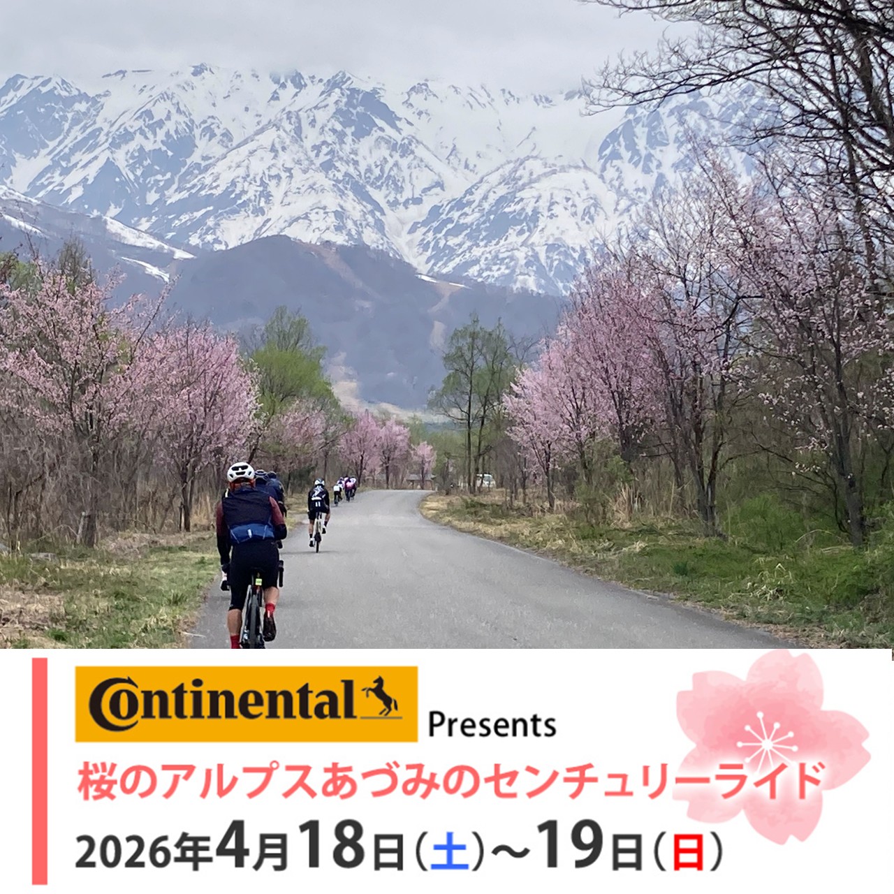 4/18-19開催！CONTINENTAL Presents 桜のアルプスあづみのセンチュリー