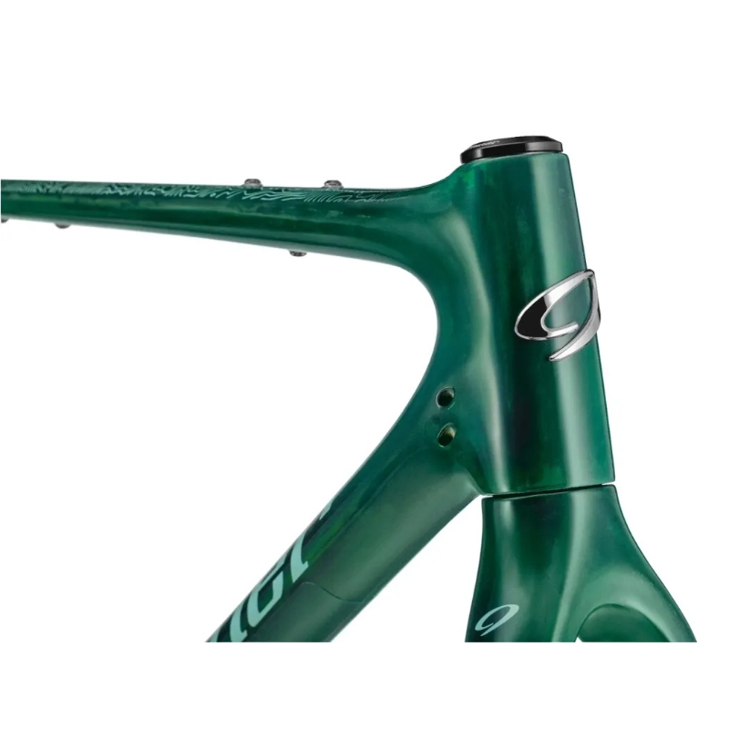 TRANSPARENT GREEN