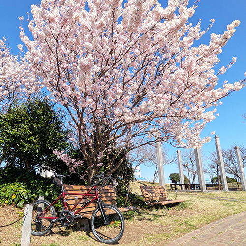 Tyrell FCXで春の三浦半島巡り－浦賀の渡しにもチャレンジ