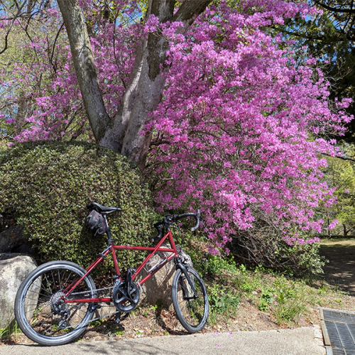 輪行で春の秩父へ - Tyrell FCXで土坂峠越えサイクリング